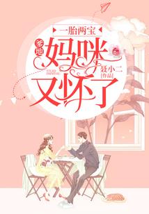 妖媚神盗妃