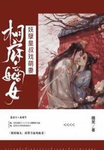 孤岛公与孤岛