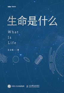 极舞：末世殇