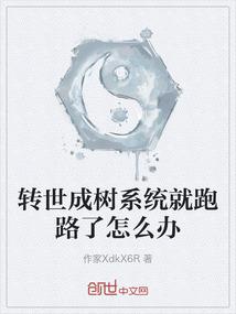 重生之婉婷