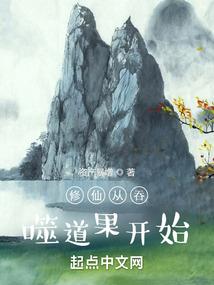 盾战苍穹