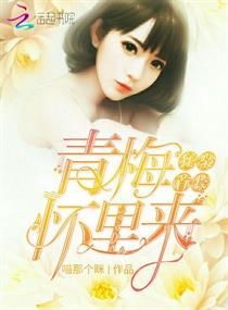 机动战队之剑豪