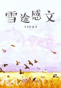 斜花锁宫墙