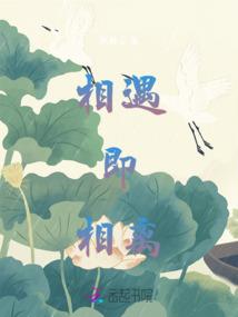 新宇之法