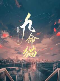 女警王妃