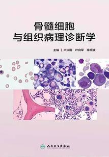 明月别枝惊喜