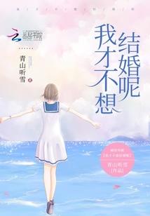 二次元之缘起