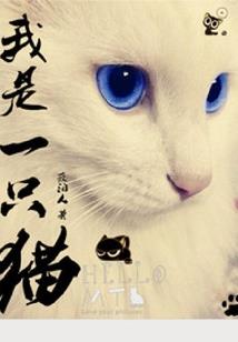 凡尘寰宇录