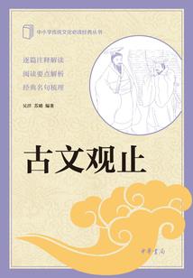 中原风云之狂风