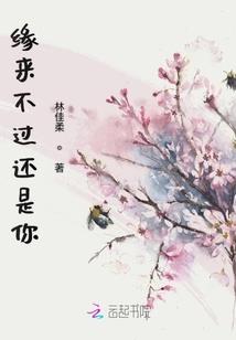 十七岁过后