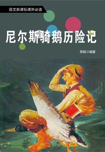 星渊传说