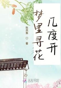 凤凰于飞:倾城小姐倾人城