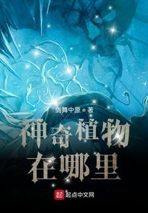 创神者游戏