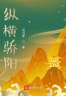 封灵大陆 释月篇