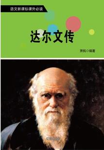 重生最强女凰