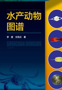 我不能爱他