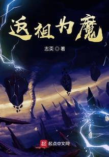 极品太子极品妃
