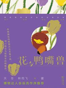 深宫歌倾城