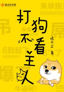 终点站守护之火的意志