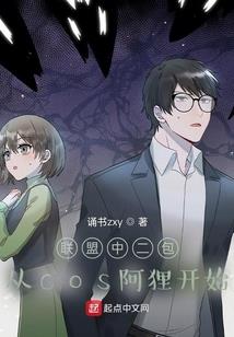 宠物小精灵之魂