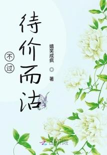 战无双之现实皇帝