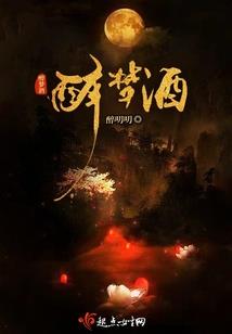 神奇宝贝之黑木凌枫