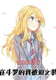 神奇宝贝之小易的旅程