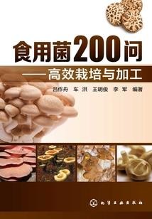 寻燚之猎魂者