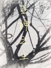 机关少女