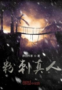 魔风侠迹