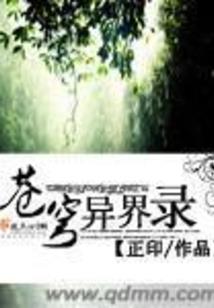 两个记忆球