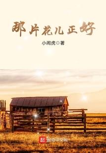 灵兽斗