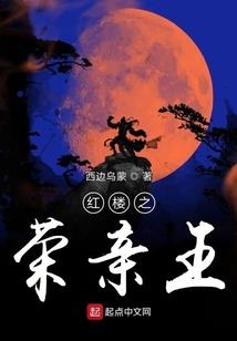 圣光天殇
