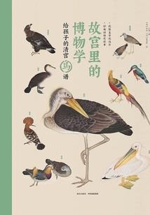 九星毒奶：开局获得流刃若火