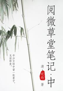 你好雨乔