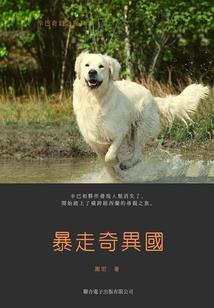 不做你的妃子