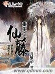三国之问鼎战记