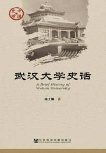 剑王风云