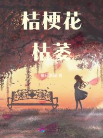 全职明星