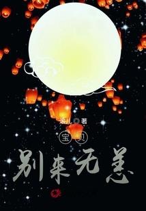浮梦半生为几何