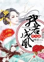 飞翎风暴