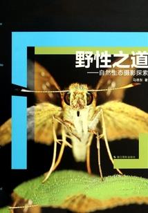太常引