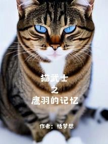 岁华可待