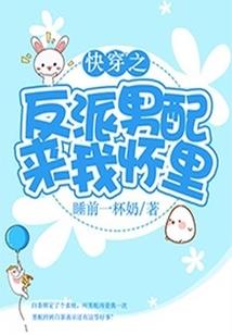 盖世英雄传