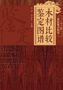 火蓝刀锋续集四