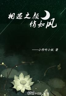 我的杀手不太冷