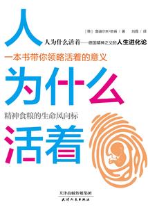 灵猫