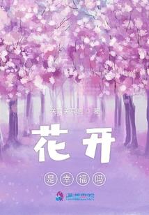 我乃飞帅