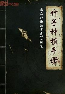 火影之一与昼青
