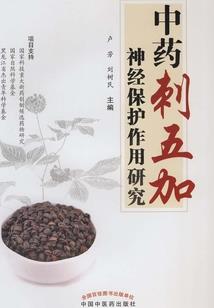 剑圣之热血传奇